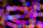 Pattern of out of focus Christmas lights Art Print